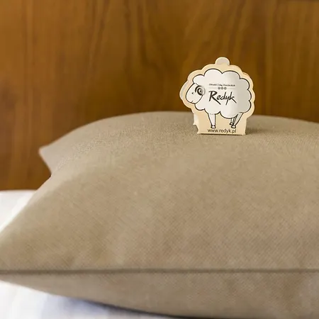 酒店 Redyk Ski&relax 扎科帕内