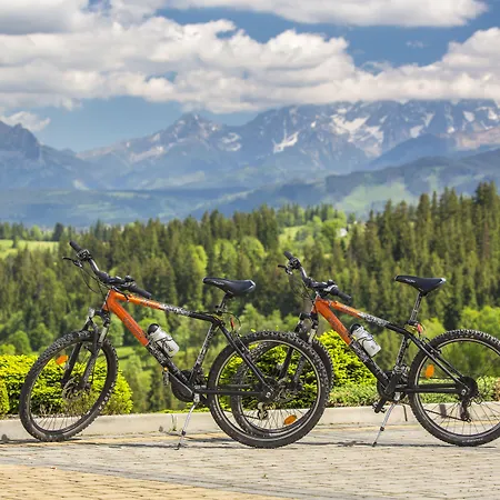 Hotel Redyk Ski&relax - Gory Na Wyciagniecie Reki Zakopane