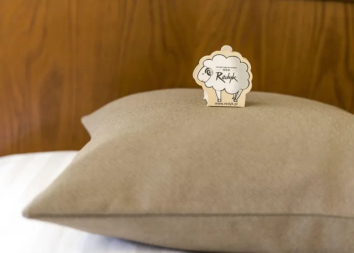 Hotel Redyk Ski&relax - Narty I Widok Na Góry Na Wyciągnięcie Ręki Zakopane